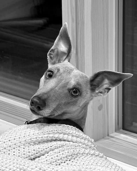 Winston Stacy
